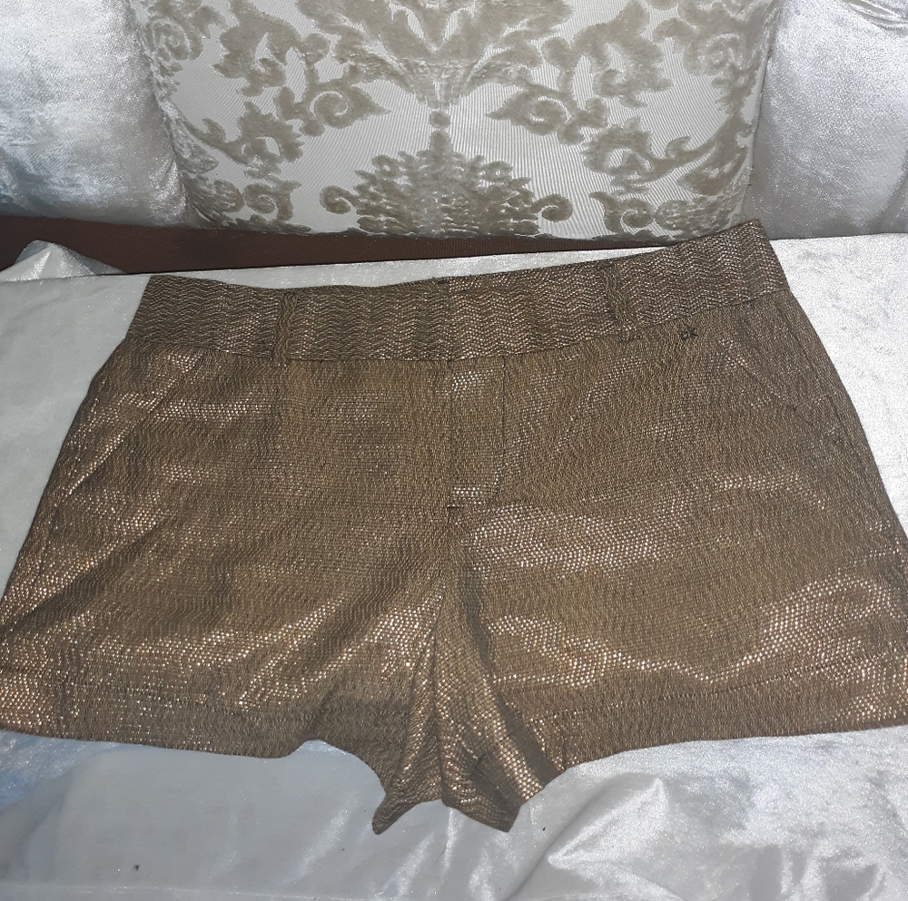 Calvin klien bronze metallic shorts 8